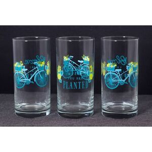 Crisa Libbey "Bloom Where You Are Planted" 16 oz glass tumblers